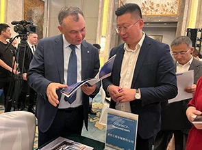 Principio del ponte del sensore di pressione